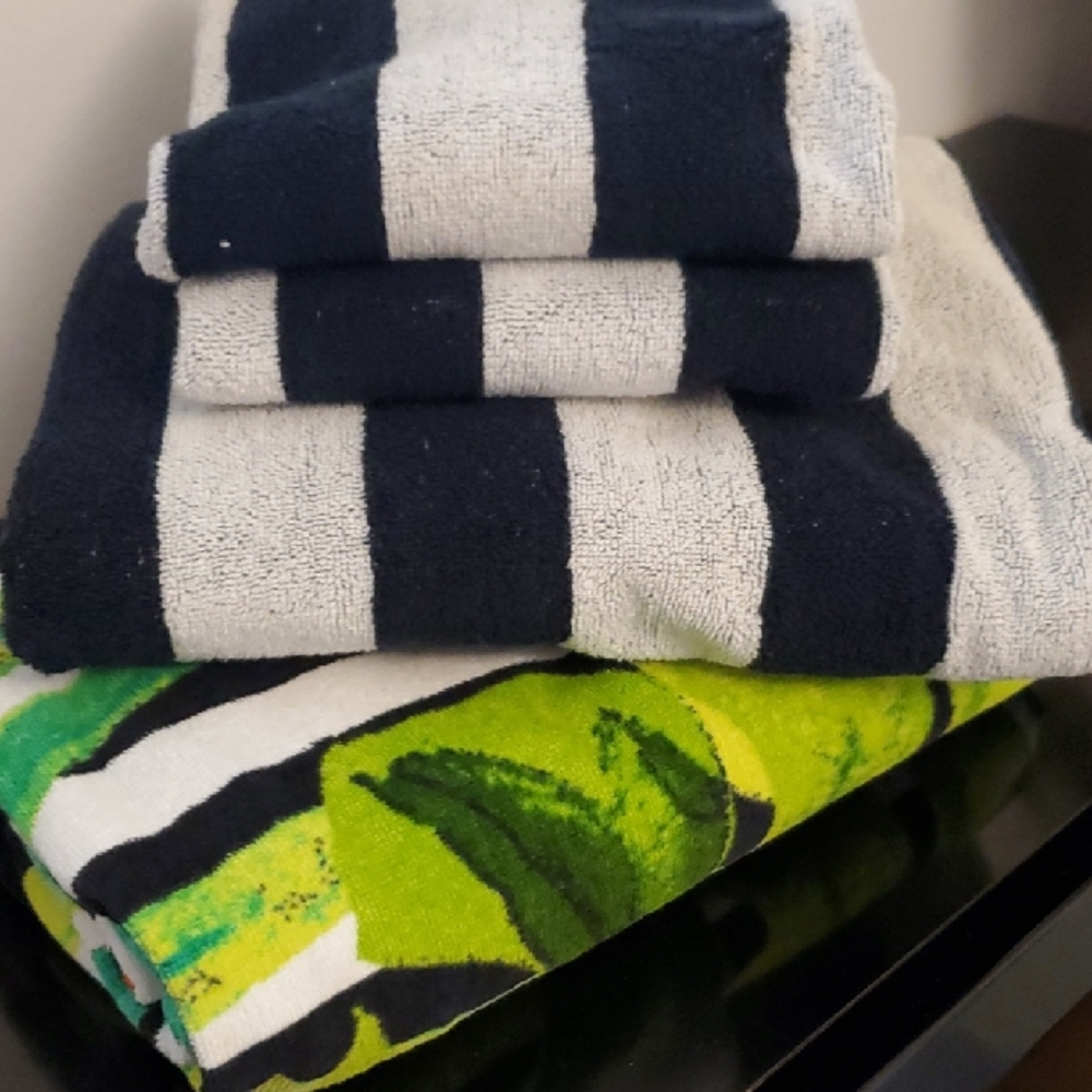 Pottery Barn Teen Emily & MerrittTowels* (set of 4)